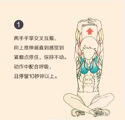 拉伸动作